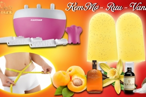 cách Làm kem nước ép mơ cùng vani